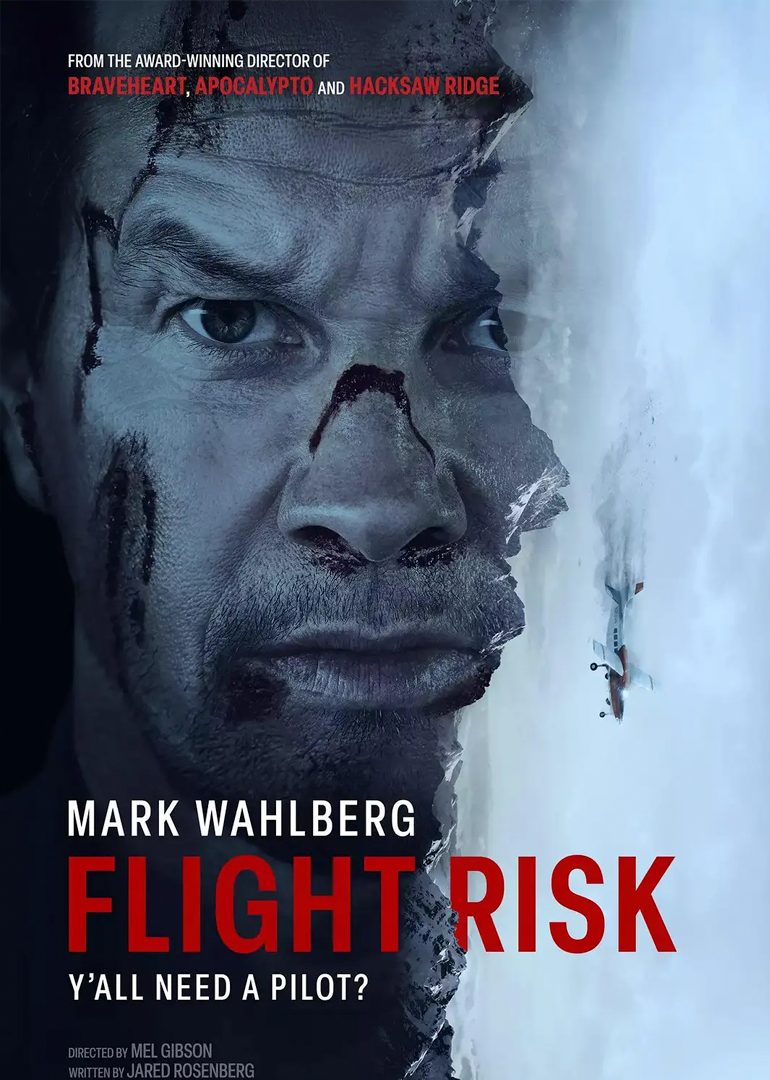 插翅难飞封面图