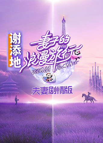 妻子的浪漫旅行夫妇剧情版封面图