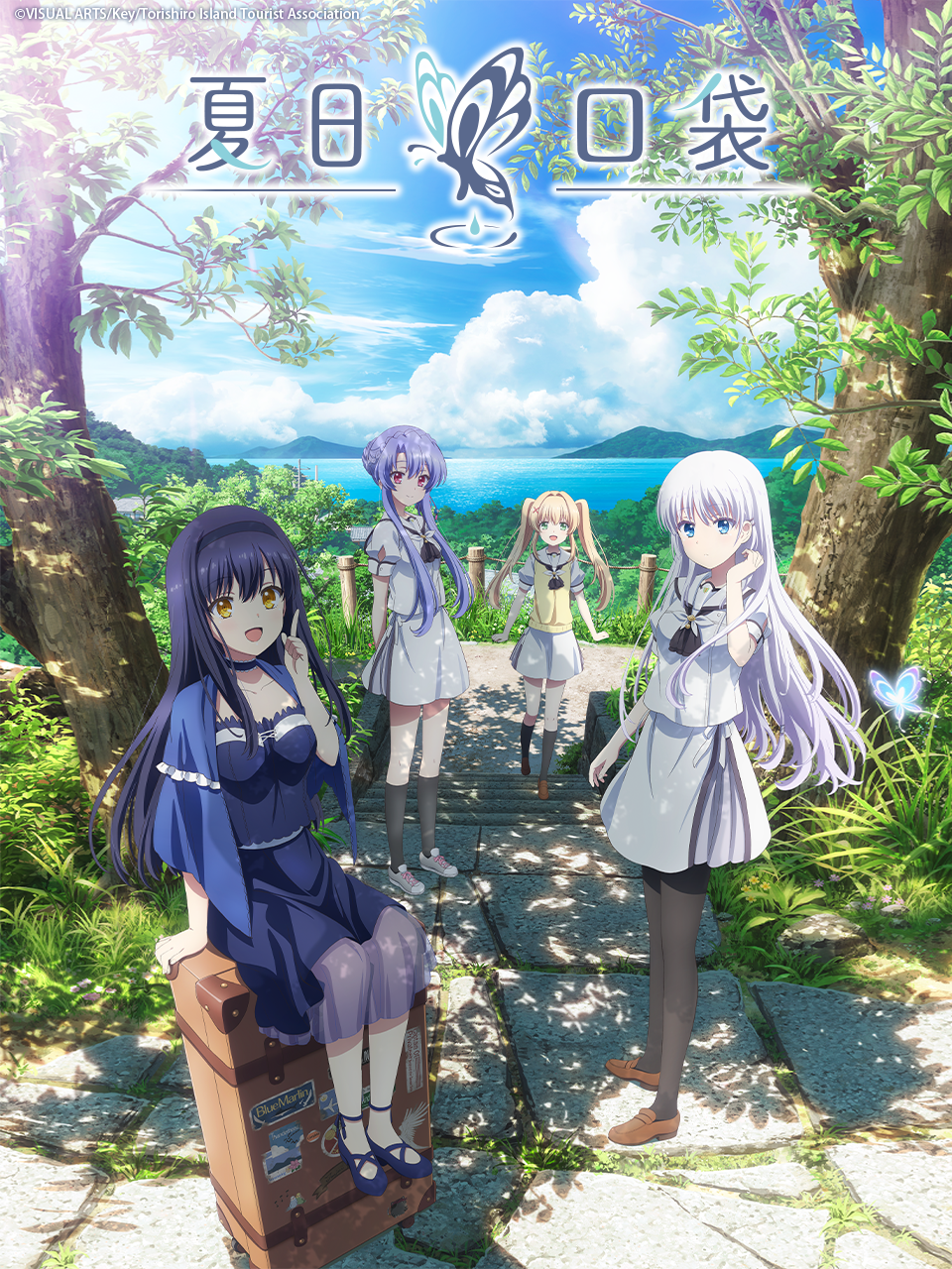 夏日口袋封面图