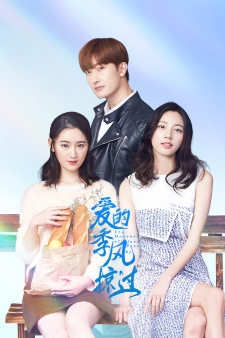 爱的季风掠过封面图