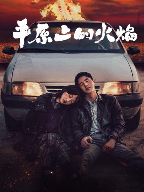 平原上的火焰封面图