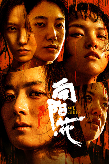 向阳·花封面图