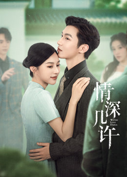 情深几许封面图