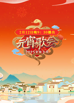 2025安徽元宵晚会封面图