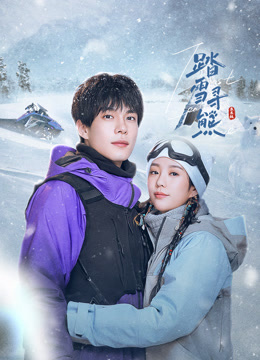 踏雪寻熊封面图