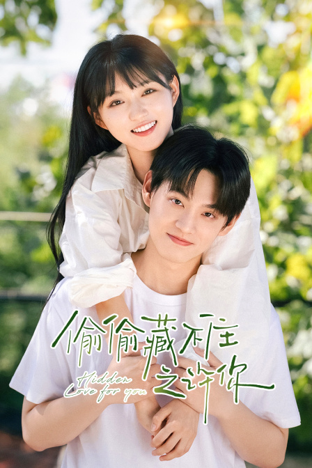 偷偷藏不住之许你封面图