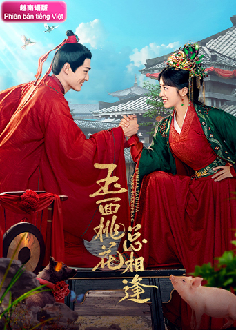 玉面桃花总相逢越南版语版封面图