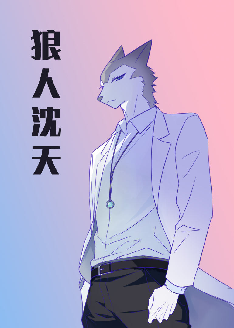 狼人沈天:小视频特别版封面图