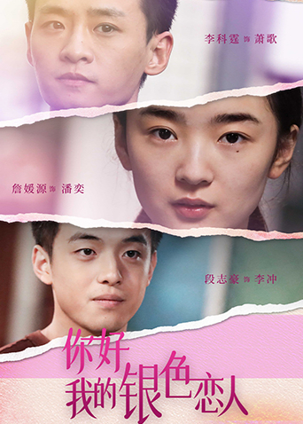 你好我的银色恋人封面图