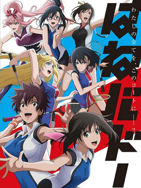 轻羽飞扬封面图