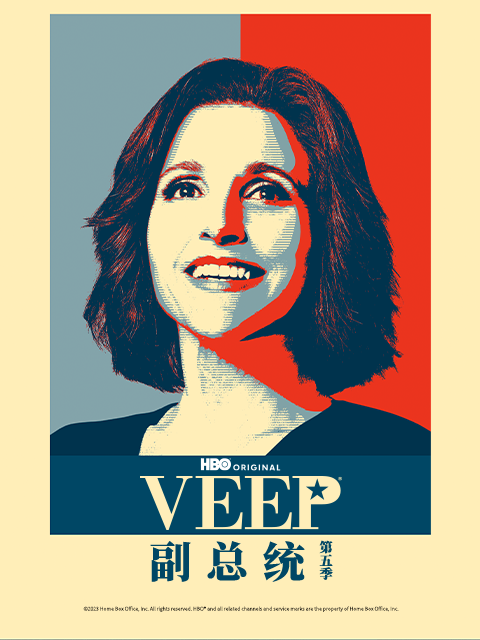 副总统5封面图