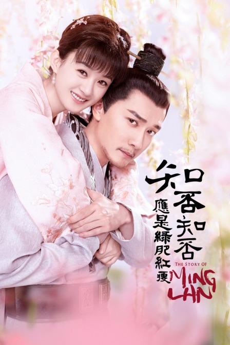 知否知否应是绿肥红瘦TV版封面图