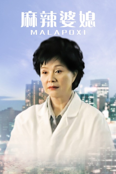 麻辣婆媳第一部封面图