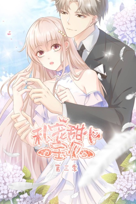 私宠甜心宝贝3封面图