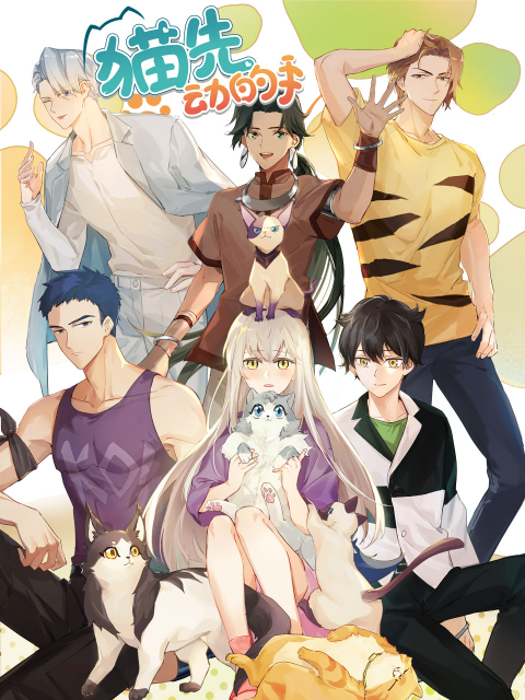 猫先动的手封面图