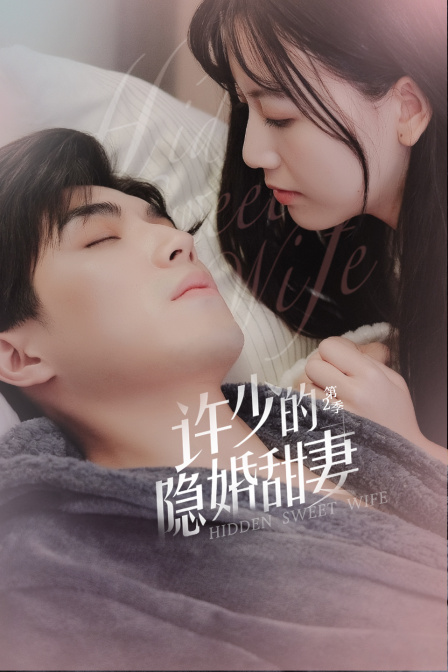 许少的隐婚甜妻2封面图