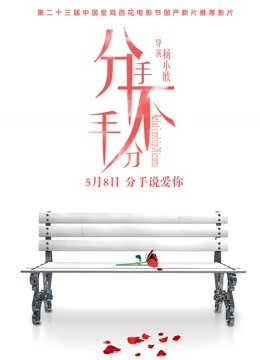 分手不分手封面图