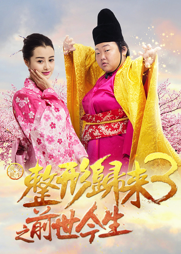 整形归来3:前世今生封面图