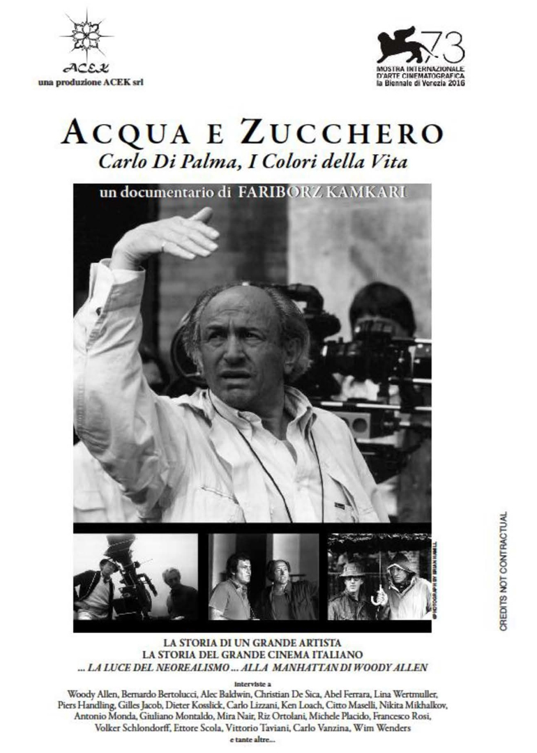 水与糖:摄影家卡洛迪帕尔马的生活与色彩封面图