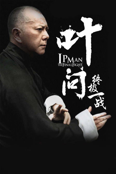 叶问:终极一战封面图