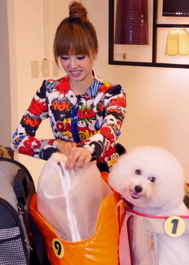 PLAY:呸计划封面图