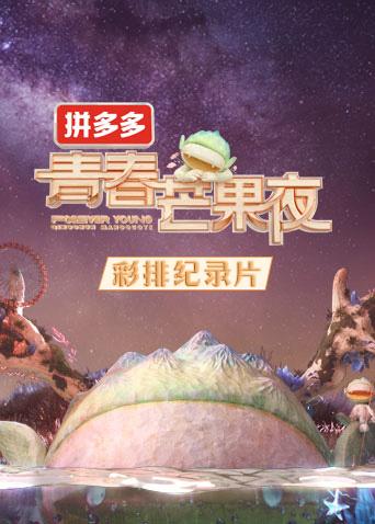 2020青春芒果夜彩排纪录片封面图