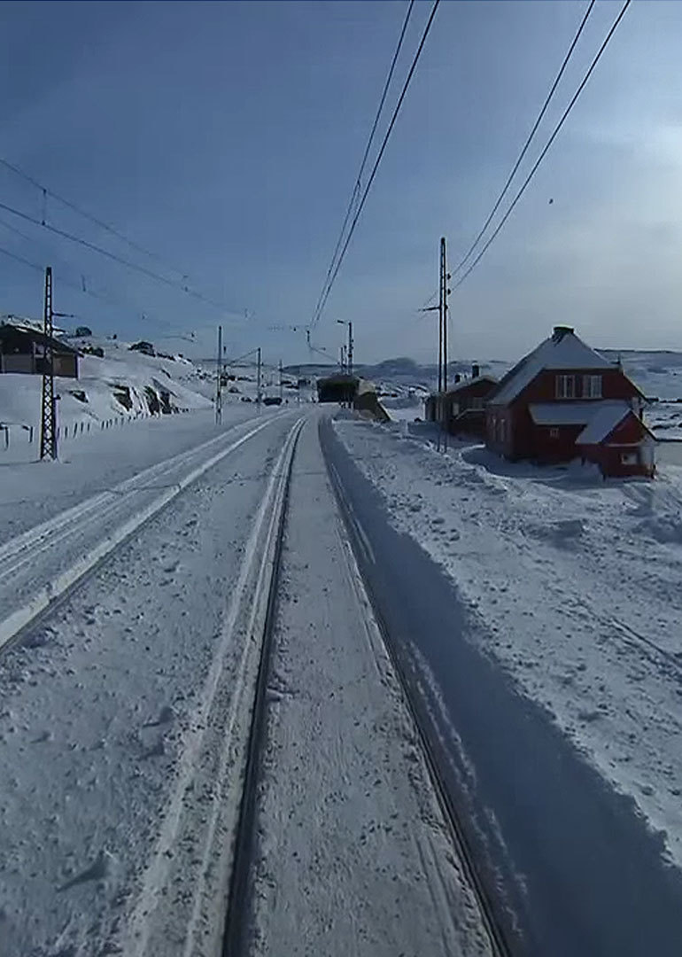 流行慢TV版你喜欢哪一种封面图