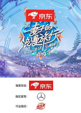 妻子的浪漫旅行6封面图