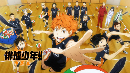 排球少年版封面图