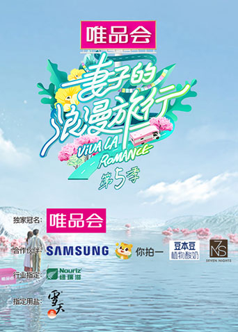 妻子的浪漫旅行5封面图