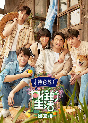 向往的生活5慢直播封面图