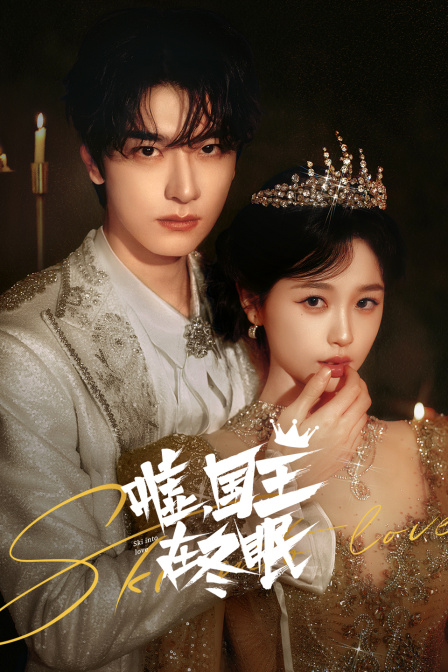 嘘国王在冬眠封面图