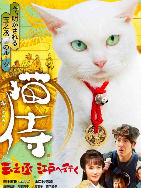 猫侍:玉之丞进军江户