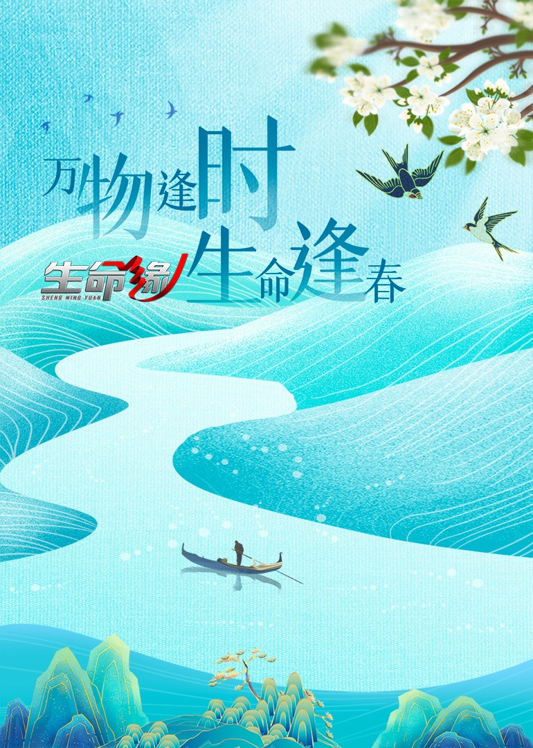 生命缘14封面图