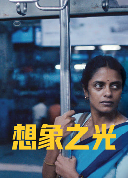 想象之光封面图