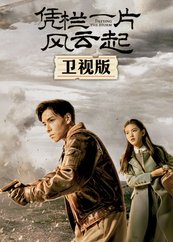 凭栏一片风云起卫视版封面图