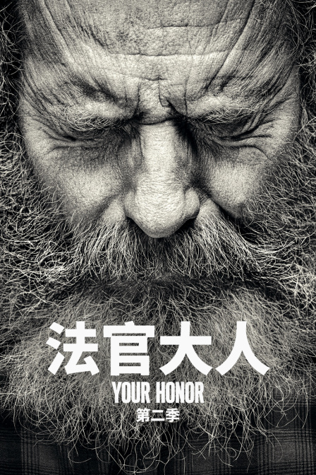 法官大人2封面图