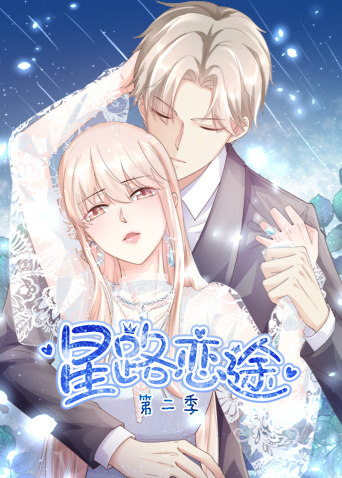 星路恋途2封面图