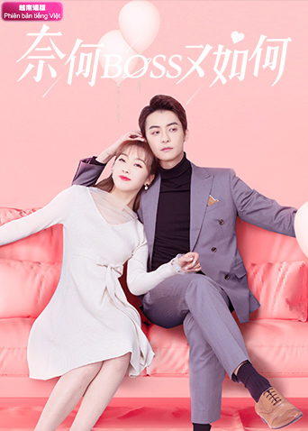 奈何BOSS又如何越南版语版封面图