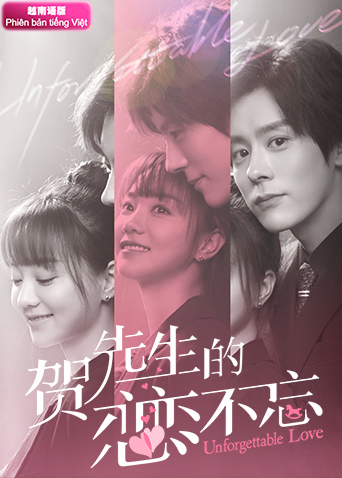 贺先生的恋恋不忘越南版语版封面图