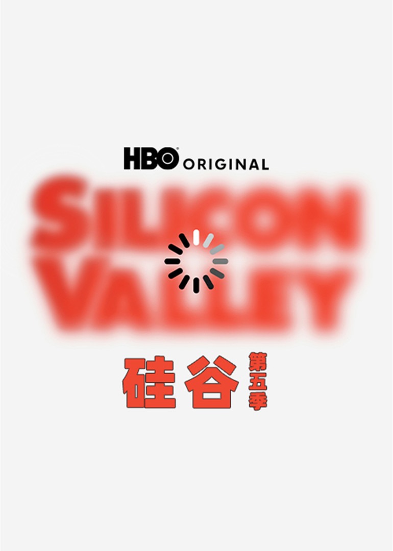 硅谷5封面图