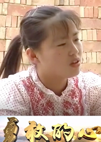 勇敢的心2000封面图