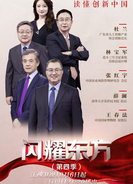 闪耀东方4封面图