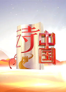 诗中国2封面图