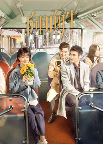 向阳而生DVD版封面图