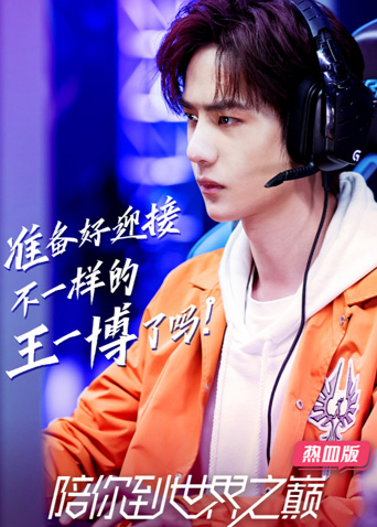 陪你到世界之巅热血版封面图