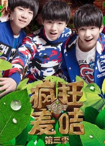 疯狂的麦咭3封面图