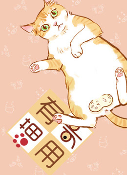 喵有卵用2封面图