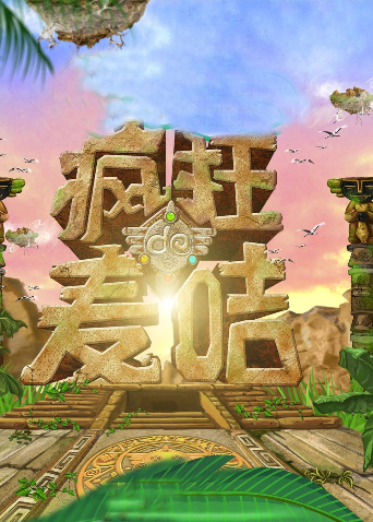 疯狂的麦咭1封面图