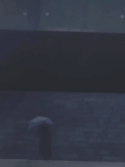 秋河流际遇封面图